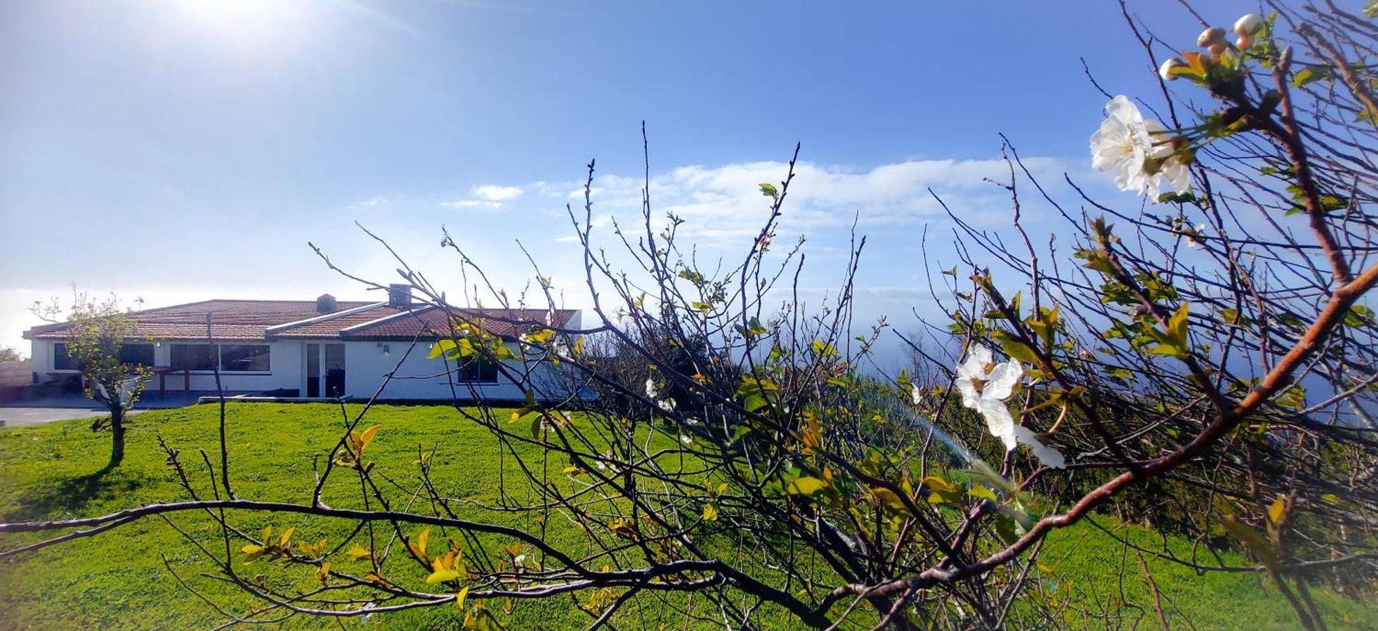 Quintinha Achadas Holiday home Achadas da Cruz